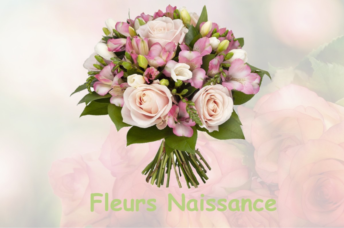 fleurs naissance PARNOY-EN-BASSIGNY
